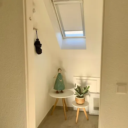 Kiebitz Schmuckstueck In Walibo